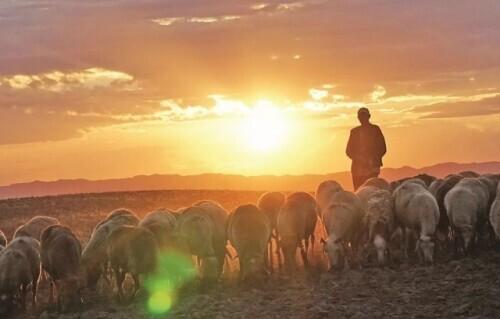 只要就造句，只要就造句二年级简单一句话（“只要能爬得动山）