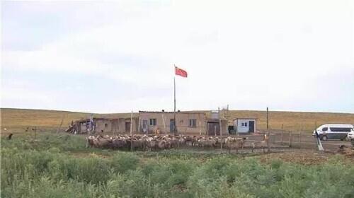 只要就造句，只要就造句二年级简单一句话（“只要能爬得动山）