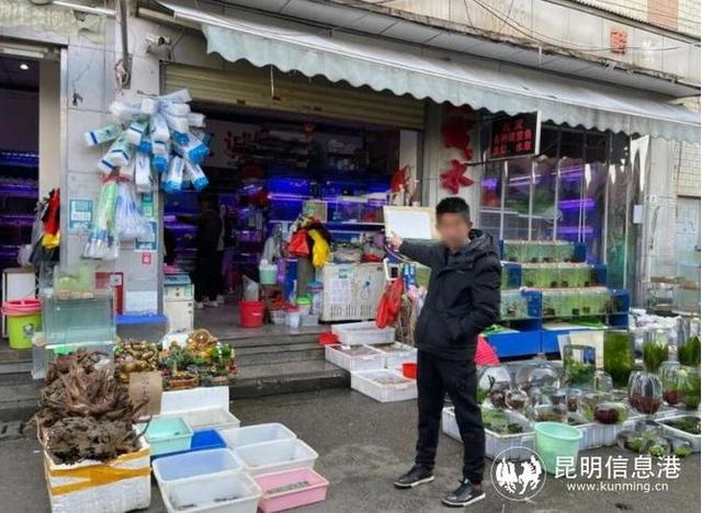 蝾螈是几级保护动物，蝾螈是娃娃鱼吗（国家二级保护动物10元一条当街卖）