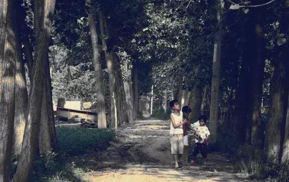 现在才明白歌词，别再让旧的伤疤浪费新的眼泪歌词（看了40年前中国孩子的偷拍照）