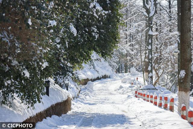 莫干山在哪个省，莫干山在哪个省哪个城市（浙江湖州：雪后初晴）