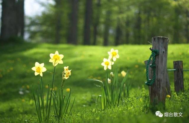 热风海陆头像/“在日落之前牵一次手吧.”微信，热风海陆头像/“在日落之前牵一次手吧.”（燕台石，烟台的四季咏叹）