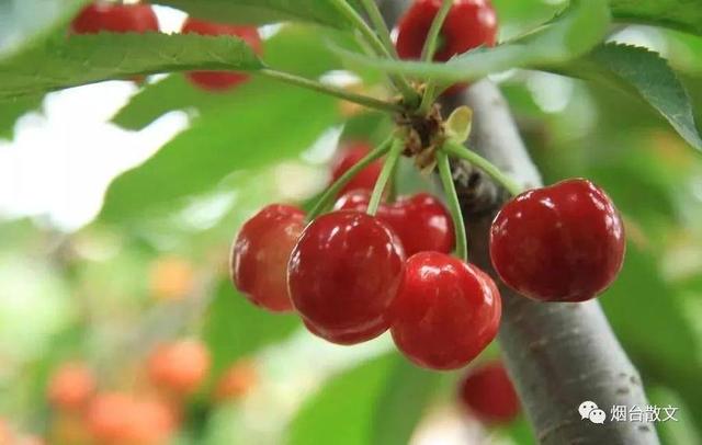 热风海陆头像/“在日落之前牵一次手吧.”微信，热风海陆头像/“在日落之前牵一次手吧.”（燕台石，烟台的四季咏叹）