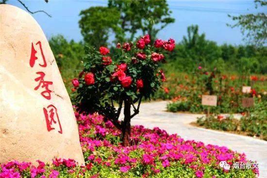 热风海陆头像/“在日落之前牵一次手吧.”微信，热风海陆头像/“在日落之前牵一次手吧.”（燕台石，烟台的四季咏叹）