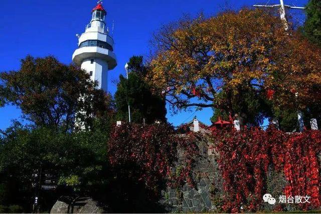 热风海陆头像/“在日落之前牵一次手吧.”微信，热风海陆头像/“在日落之前牵一次手吧.”（燕台石，烟台的四季咏叹）