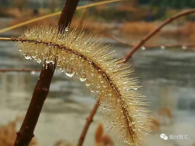 热风海陆头像/“在日落之前牵一次手吧.”微信，热风海陆头像/“在日落之前牵一次手吧.”（燕台石，烟台的四季咏叹）