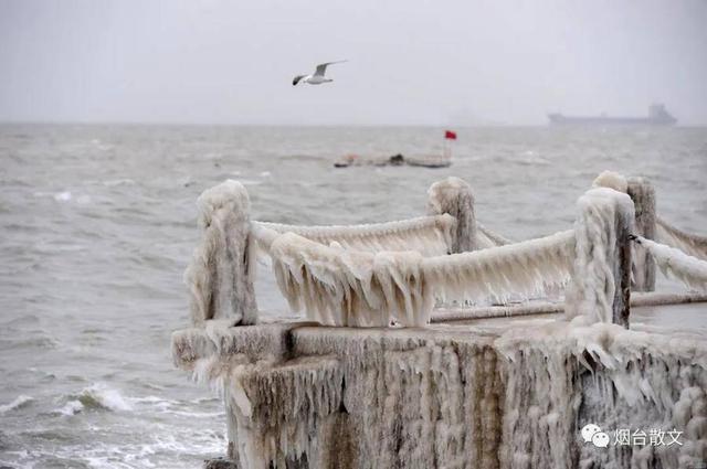 热风海陆头像/“在日落之前牵一次手吧.”微信，热风海陆头像/“在日落之前牵一次手吧.”（燕台石，烟台的四季咏叹）