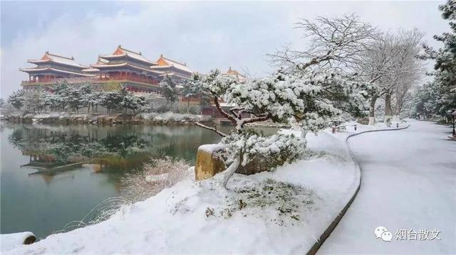 热风海陆头像/“在日落之前牵一次手吧.”微信，热风海陆头像/“在日落之前牵一次手吧.”（燕台石，烟台的四季咏叹）