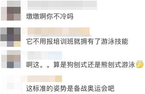 熊猫会游泳吗（村民拍到大熊猫游泳过河）