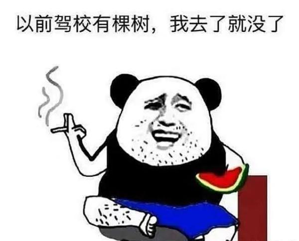 蜀黍是指什么人，蜀黍是什么意思（驾驶证有这几类情形的）