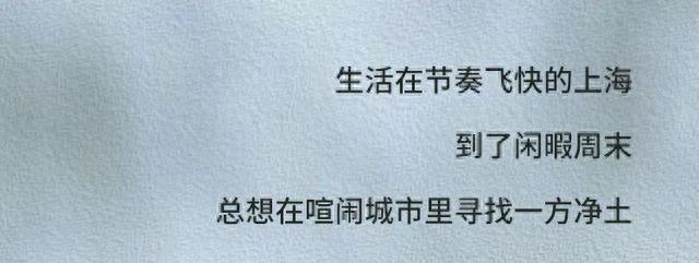 长廊、雕塑、湖泊……魔都人的“秘密乐园”都藏在这些公园里