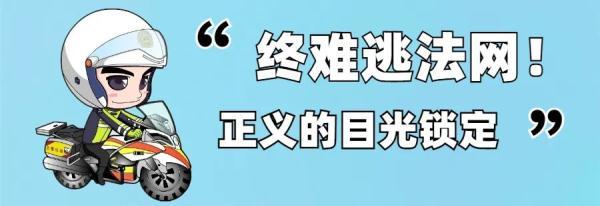 蜀黍是指什么人，蜀黍是什么意思（驾驶证有这几类情形的）
