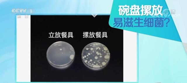 怎样刷碗更健康，刷碗怎么刷又快又干净（这样洗碗，细菌增加70倍）
