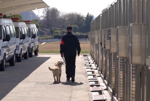 国际大米周报，每周报怎么写（带它10年的训导员说）