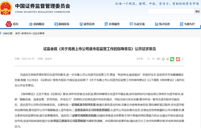 股票退市标准（三类公司不得进入退市板块）