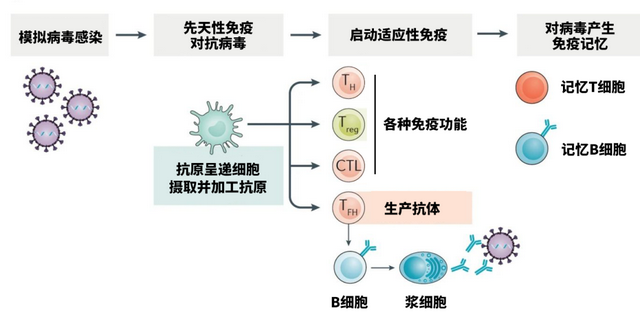 打针，打针进了空气会怎样（为什么有的打胳膊图片）