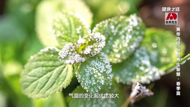 春天有什么特点，春天的特点是什么（古医书告诉您 春天这样来养生）
