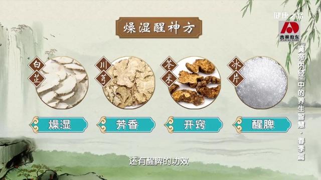春天有什么特点，春天的特点是什么（古医书告诉您 春天这样来养生）