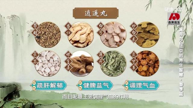 春天有什么特点，春天的特点是什么（古医书告诉您 春天这样来养生）