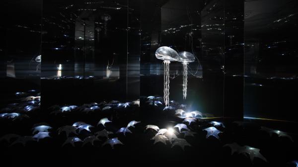 大溪地在哪个国家，大溪地在哪个国家（毛利人鱼钩、大溪地雕塑来到浦江之畔）