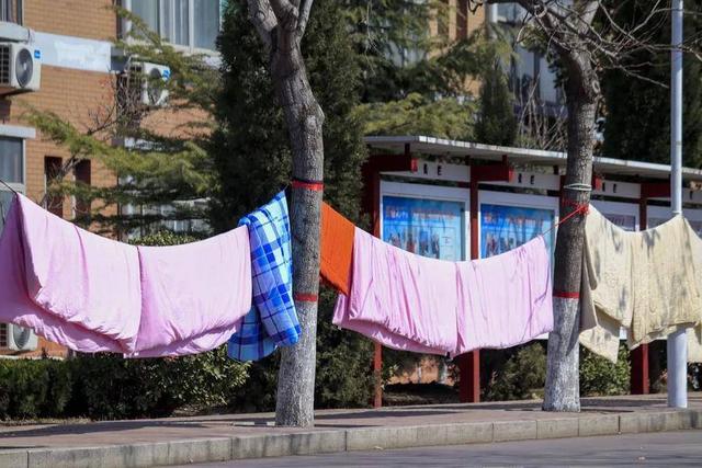 山东工业职业学院怎么样，山东职业学院怎么样_师资评价好不好（山东工业职业学院开学第一天）