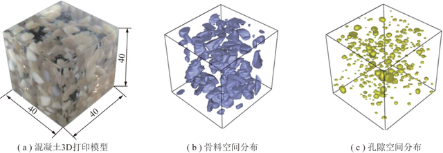 尺度效应的分类定义，尺度理论模型（岩石灾变非连续结构与多物理场效应的透明解析与透明推演）