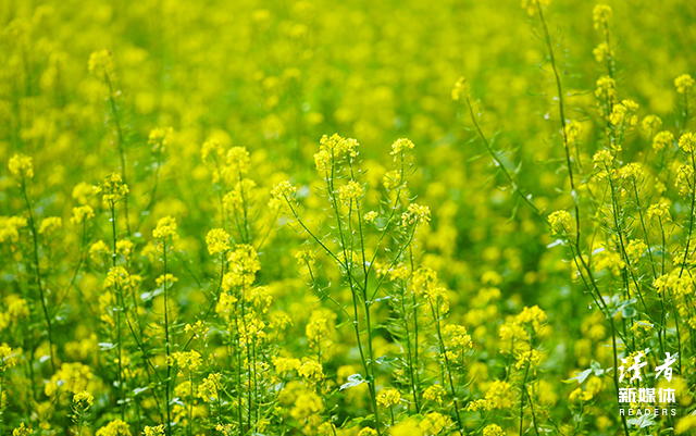 适可而止的意思，对感情适可而止的意思（遇到这4件事）
