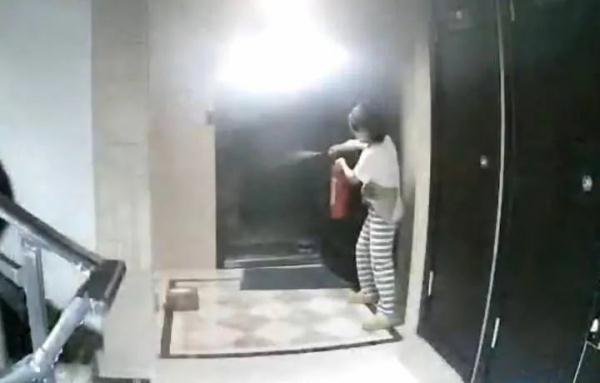 两个火一个安什么字，一个火字旁一个安（“面膜女侠”把大火灭了）