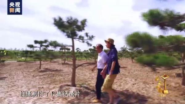 2018感动中国，2018年感动中国十大人物（苏炳添、陈贝儿）