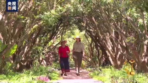 2018感动中国，2018年感动中国十大人物（苏炳添、陈贝儿）