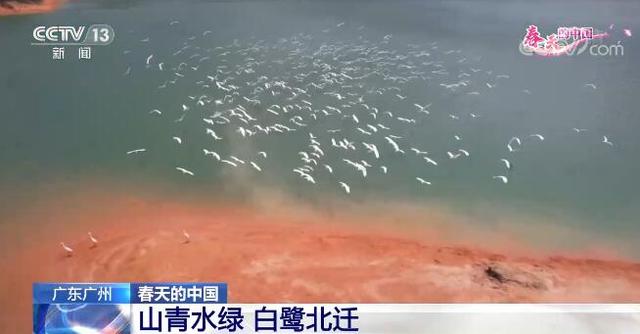 阳春三月草长莺飞，阳春三月草长莺飞的意思是什么（祖国多地呈现出绝美的春日景象）