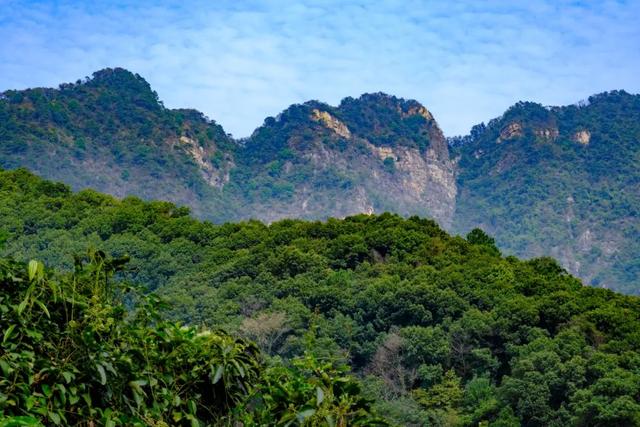 广东紫云谷旅游，肇庆这个景区恢复开放