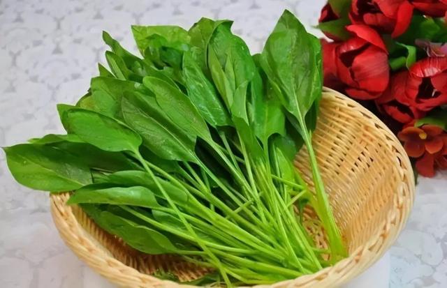 炒菜花需要用水焯一下吗，炒菜花需要焯水吗（要分清“圆叶”和“尖叶”）