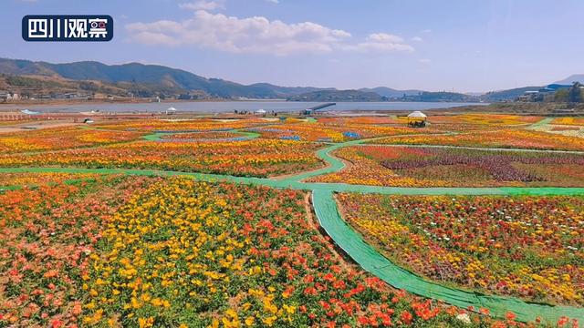 会理县黎溪镇，会理县黎溪镇南冲铜矿（这里的花海惊艳了春天）
