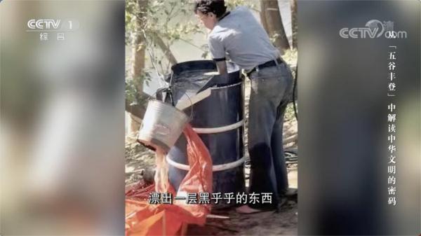 五谷中的菽指的是，五谷中的菽是指什么（日常吃的五谷藏着多少秘密）