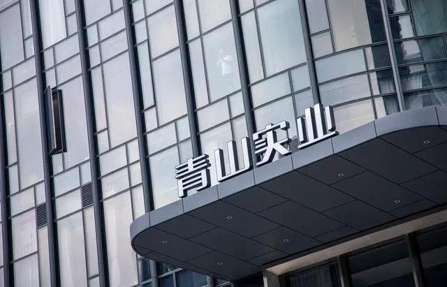 青山控股项光达（“妖镍”背后的项光达）