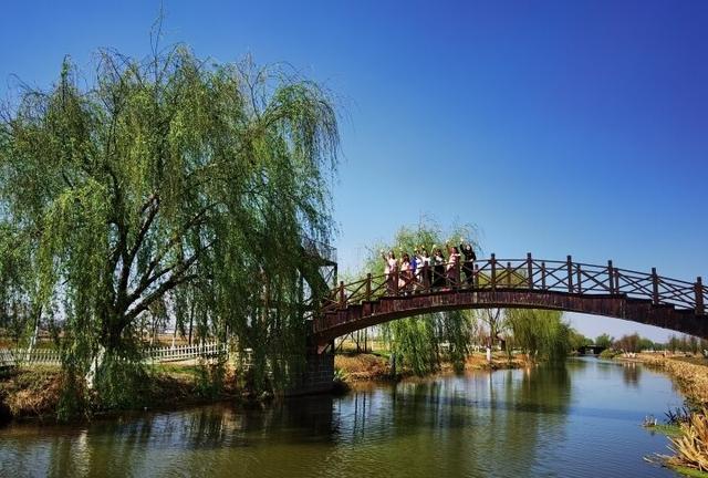 三八妇女节信息，38妇女节的美好的祝福短信（“自信女性、美丽绽放”——别样“三八”妇女节精彩呈现）