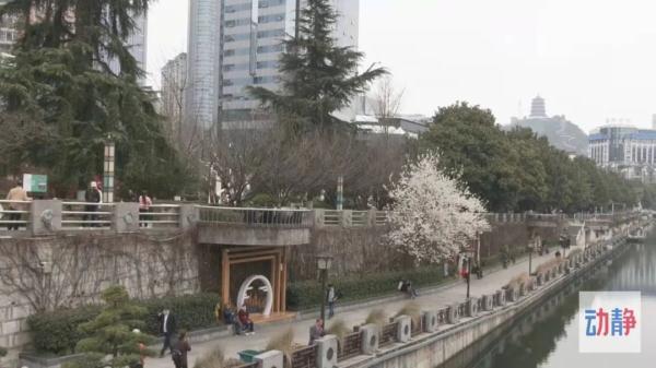 阳历是快的还是慢的，阳历是农历吗（贵阳气温开启“任性”模式）