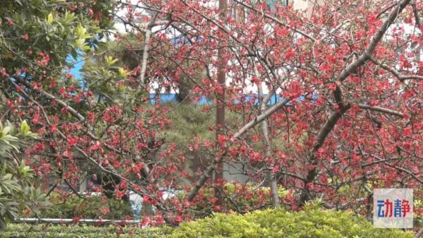 阳历是快的还是慢的，阳历是农历吗（贵阳气温开启“任性”模式）