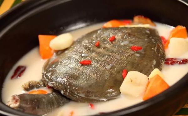 脆生生的什么食物，大暑节气吃什么食物（这些时令美食你知道吗）