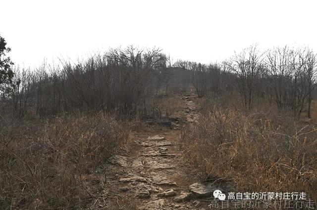 山东临沂东师古村，东师古村恐怖在哪儿（爬上朝山看库区）