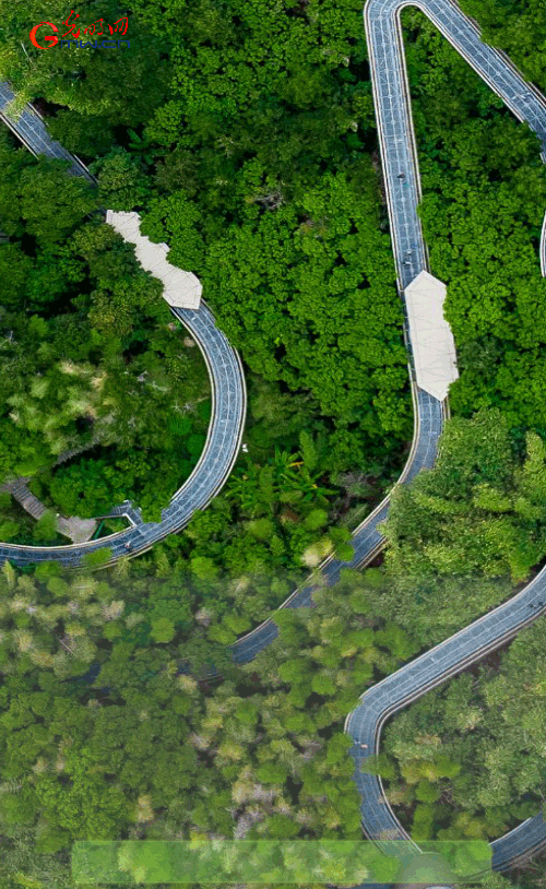 公顷的意思，公顷的意思秒懂百科（数读2021国土绿化“成绩单”）