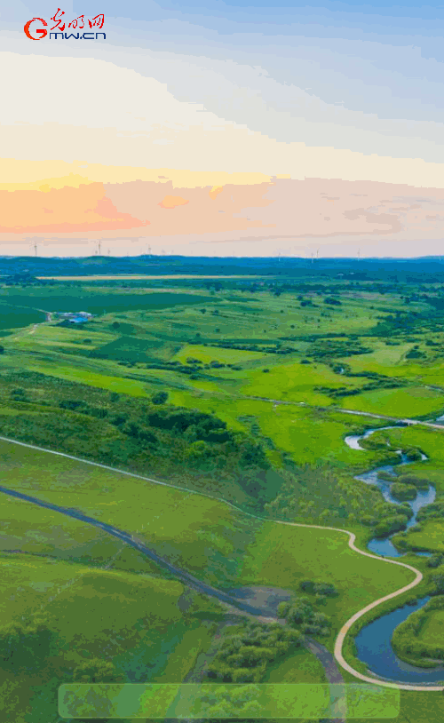 公顷的意思，公顷的意思秒懂百科（数读2021国土绿化“成绩单”）