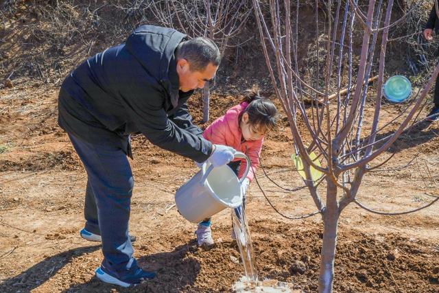 植树节的意义是什么，植树节的意义是什么?我们应该如何参与（你被植树造林“种草”了吗）