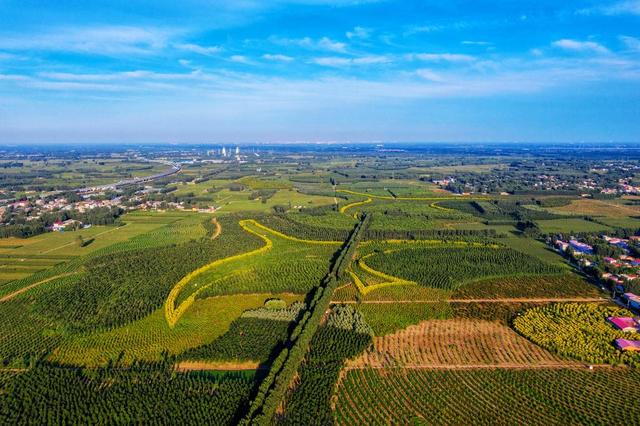 植树节的意义是什么，植树节的意义是什么?我们应该如何参与（你被植树造林“种草”了吗）