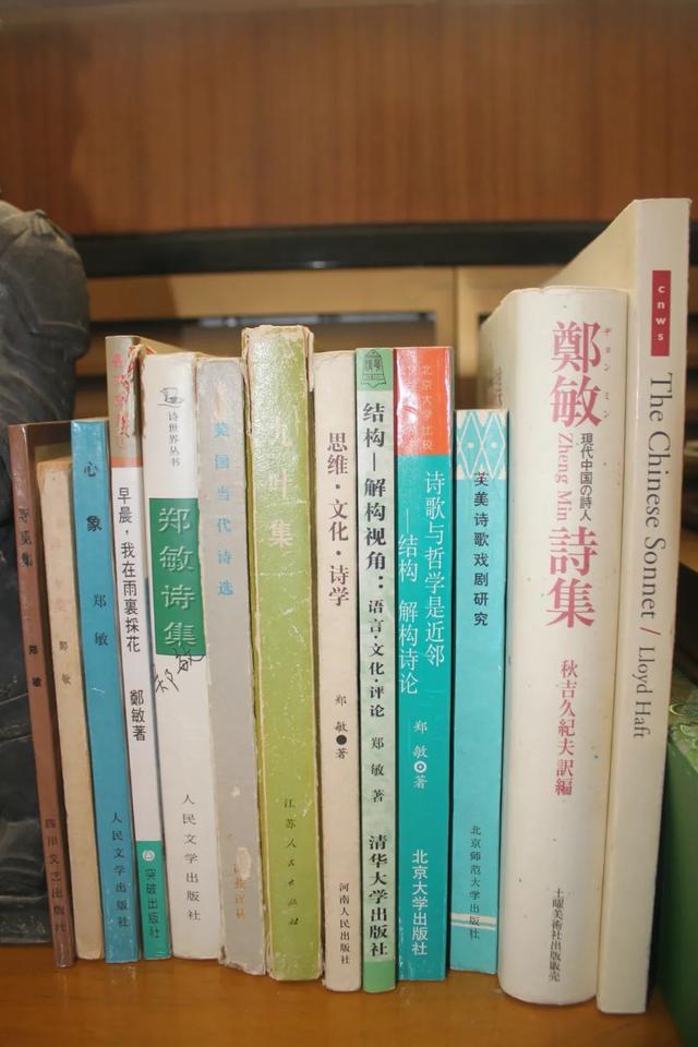 爱丽丝，爱丽丝梦游仙境（百岁诗人与她的爱丽丝图片）