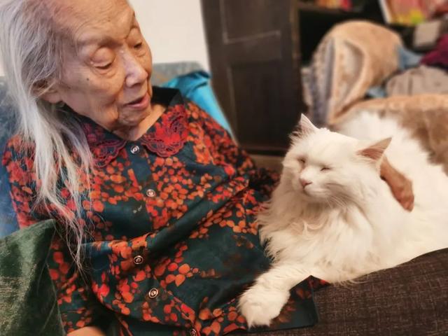 爱丽丝，爱丽丝梦游仙境（百岁诗人与她的爱丽丝图片）