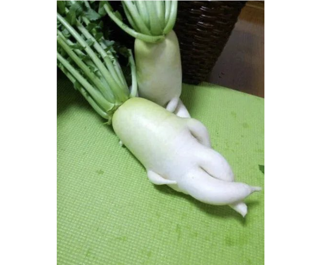 怎么用粘土做起泡胶，用粘土怎么做起泡胶（只有香菜星人才知道）