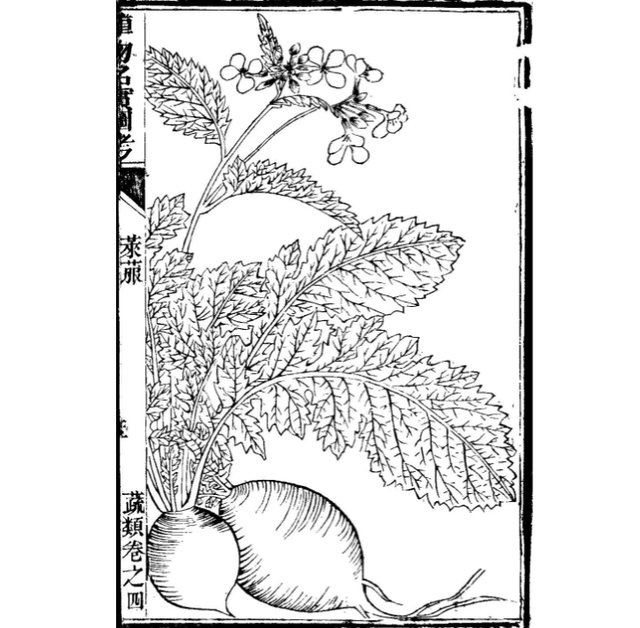 怎么用粘土做起泡胶，用粘土怎么做起泡胶（只有香菜星人才知道）