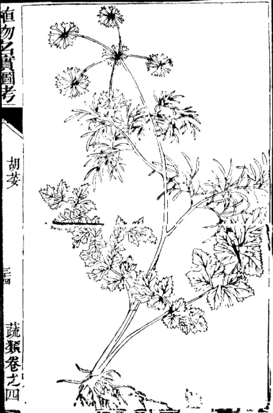 怎么用粘土做起泡胶，用粘土怎么做起泡胶（只有香菜星人才知道）